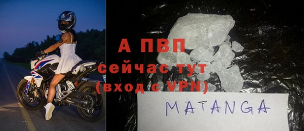 прущие грибы Ростов