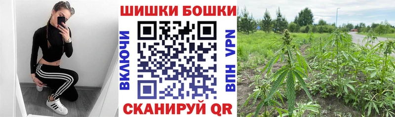 МАРИХУАНА индика  купить наркотики цена  Вытегра 